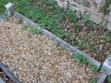 image of grave number 951587